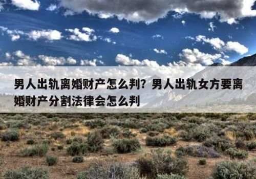 专家辅助人的意见属于何种证据种类